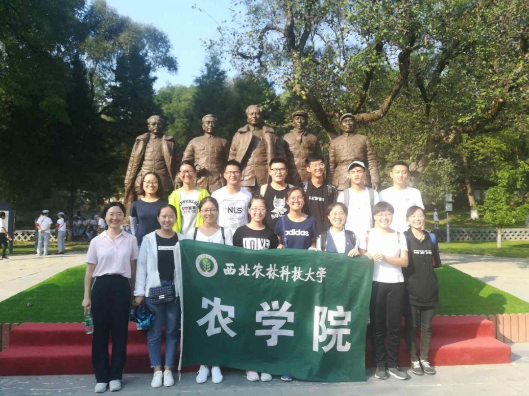 逃出昏暗的房子