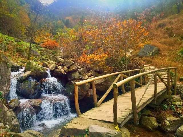 夏日的婚礼